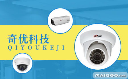 奇优在网络系统集成领域的表现与特点